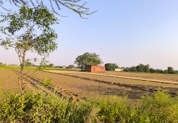 Plot Area in  Land at Garden 28, Pataudi – for Sale