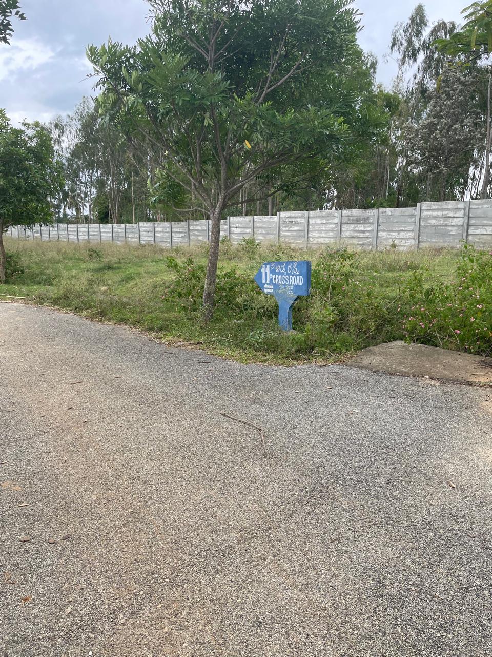 Plot For Sale in Nishchay