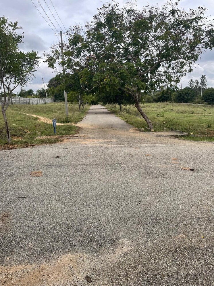 undefined, sarjapur  1200 Sq.Ft. Plot In Sarjapur Bangalore 9355689