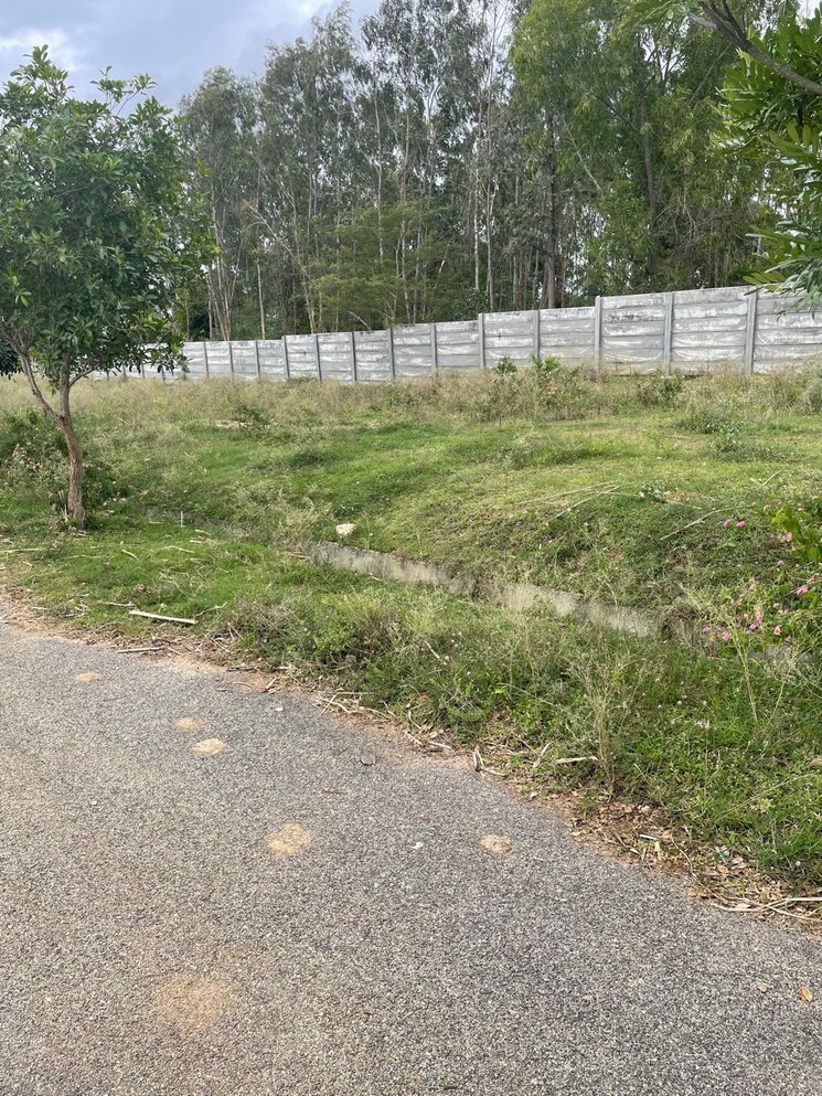 undefined, sarjapur  1200 Sq.Ft. Plot In Sarjapur Bangalore 9355689