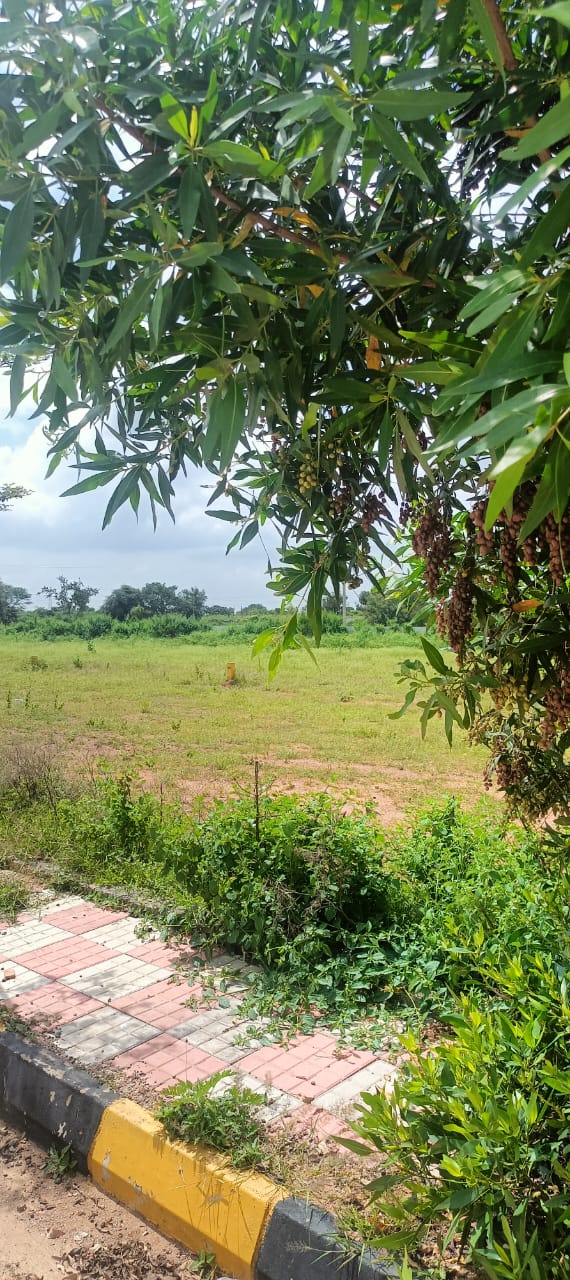 Plot For Sale in Fortune Butterfly City