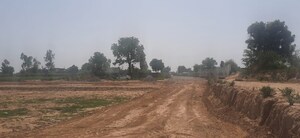 Plot Area in  Plot at Jewar – for Sale