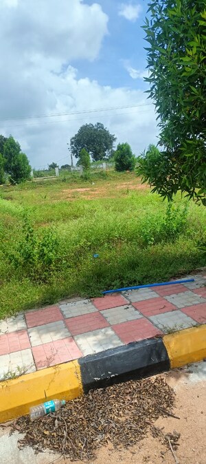  Plot For Sale in Fortune 18, Amangal