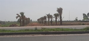 Plot Area in  Plot at Jewar – for Sale
