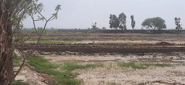 Plot For Sale in Jewar