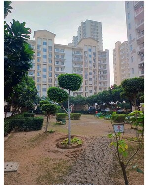 3 BHK Apartment For Rent in Emaar Palm Hills, Sector 77