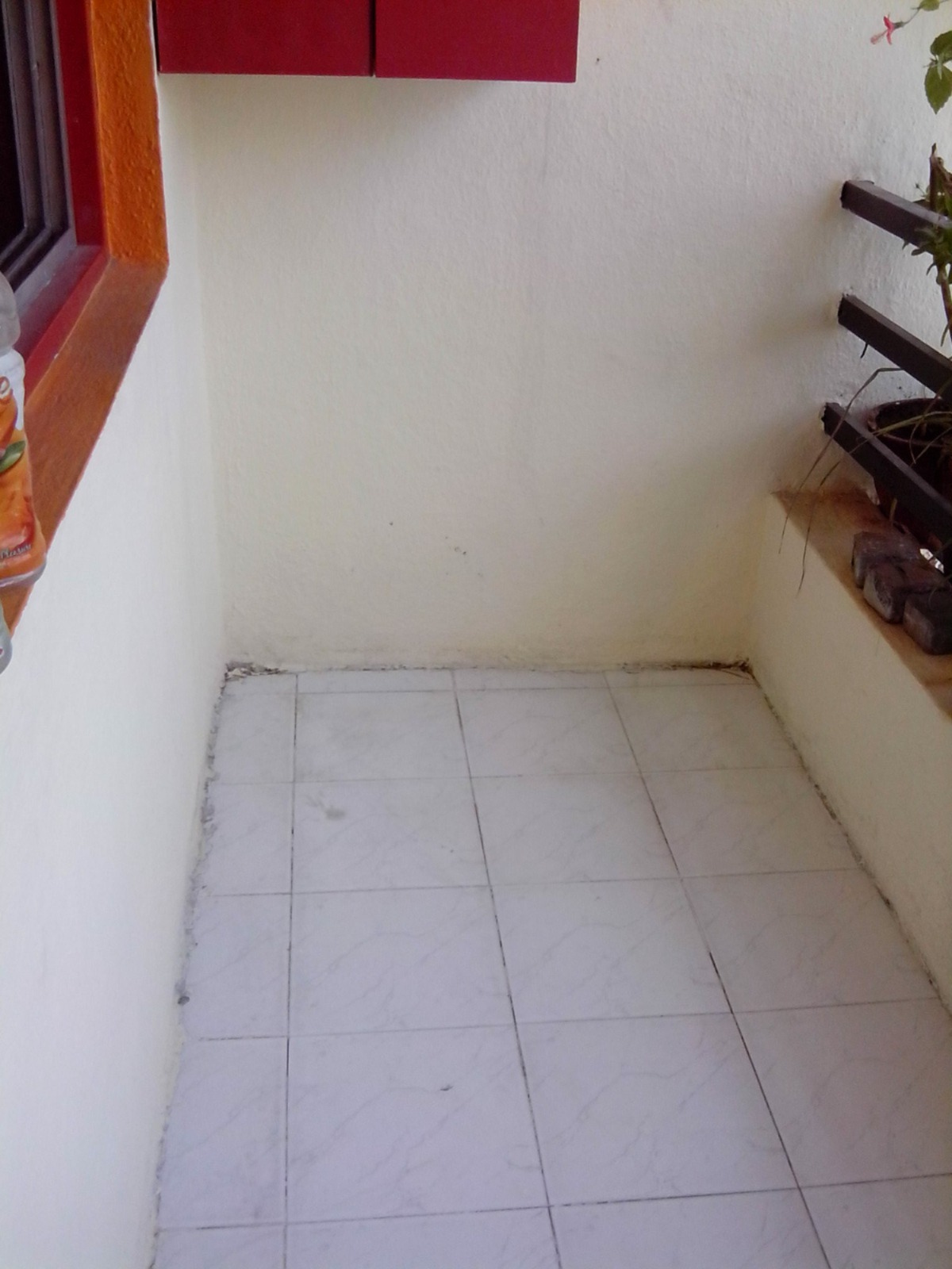 1 BHK 630 Sq.Ft. Apartment in Ameya CHS Dhankawadi