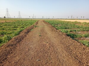  Plot For Sale in Bihta