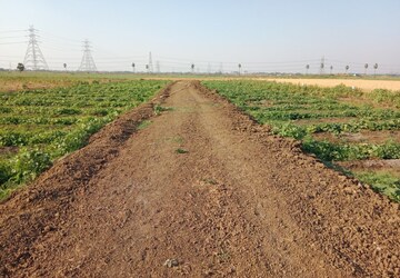 Plot For Sale in Bihta