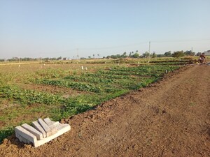 Plot Area in  Plot at Bihta – for Sale