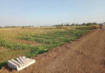 Plot Area in  Plot at Bihta – for Sale