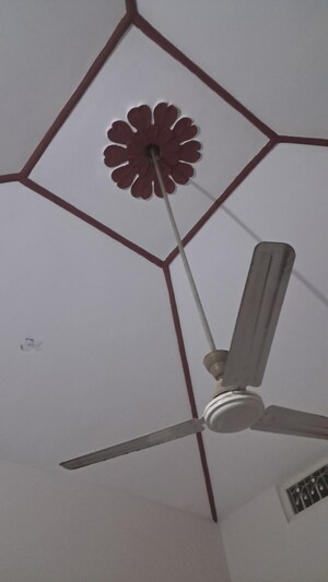 3 BHK Independent House For Rent in Lajpat Nagar