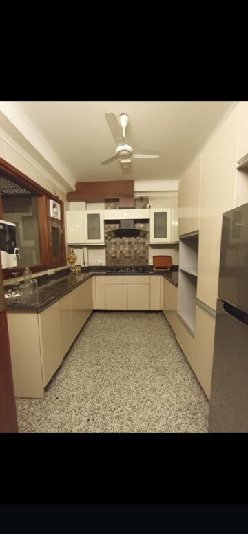 Kitchen in 3 BHK Builder Floor at Pamposh Enclave – for Rent
