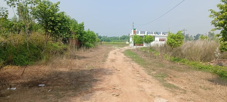 undefined, raebareli road  1774 Sq.Ft. Plot In Raebareli Road Lucknow 9356426