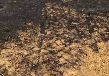 Plot Area in  Plot at Chengicherla – for Sale