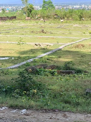 Plot Area in  Plot at Sherpur – for Sale