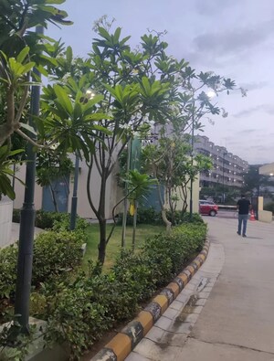 3 BHK Apartment – Garden View at Emaar Emerald Estate, Sector 65 - for Sale