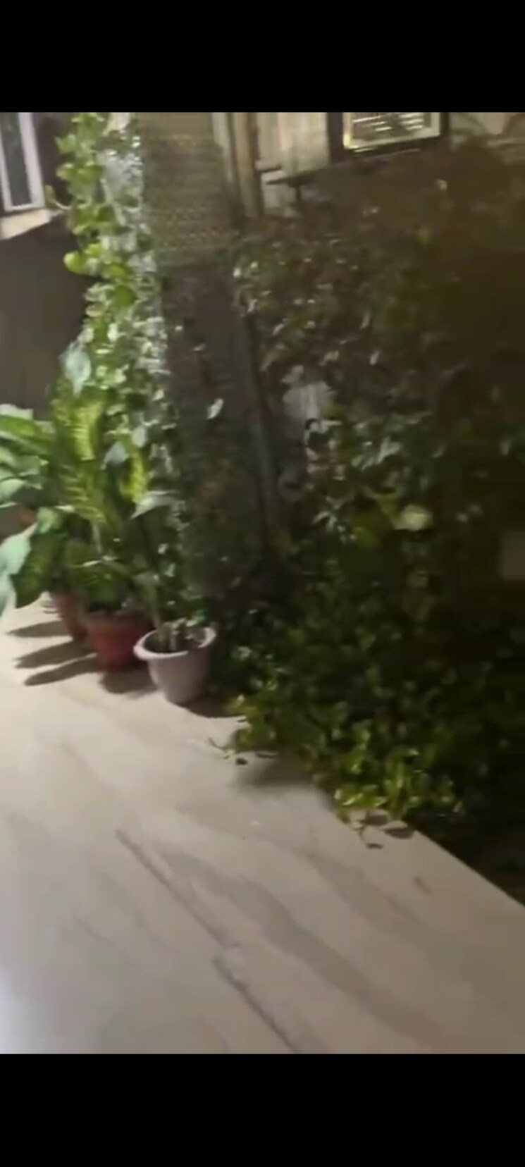 Garden, varun-enclave 2.5 Bedroom 2000 Sq.Ft. Villa In Sector 28 Noida 9356899