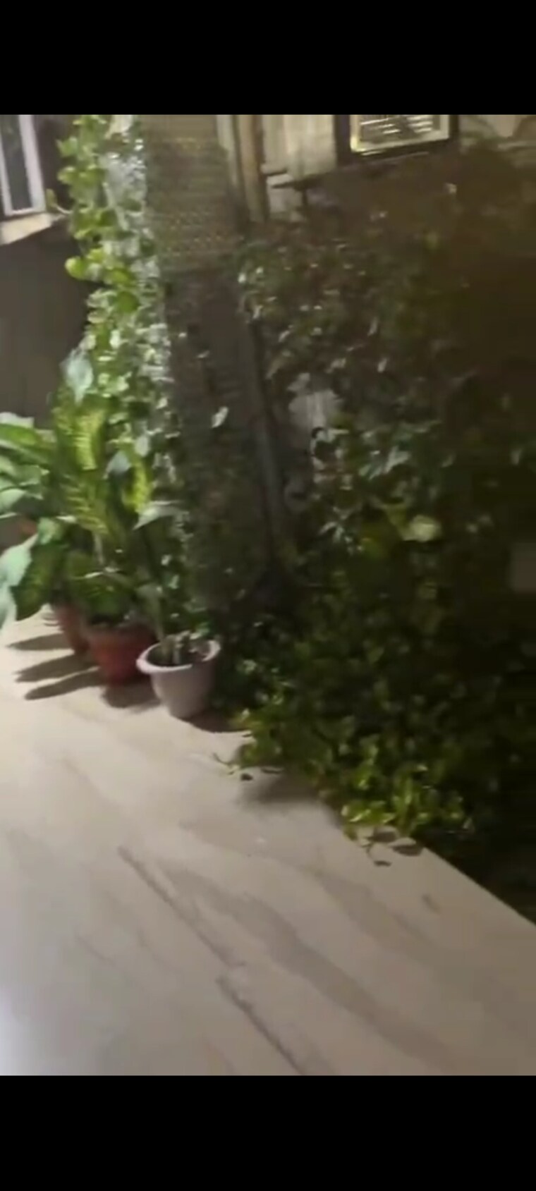 Garden, varun-enclave 2.5 Bedroom 2000 Sq.Ft. Villa In Sector 28 Noida 9356899