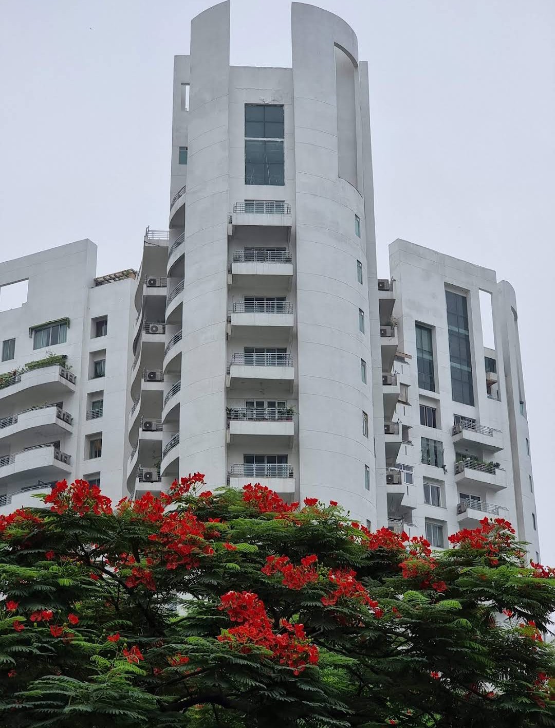 3 BHK + Servant Room 2895 Sq.Ft. Apartment in Parsvnath Exotica