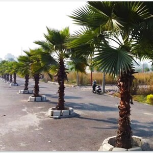  Plot – Garden View at Anam Valley, Faizabad Road - for Sale