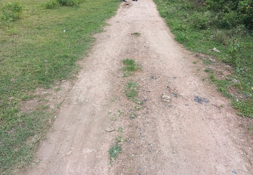 Plot Area in  Plot at Sheetal Residency Kamta, Kamta – for Sale