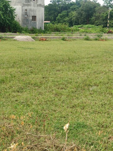 Plot Area in  Plot at Chinhat – for Sale