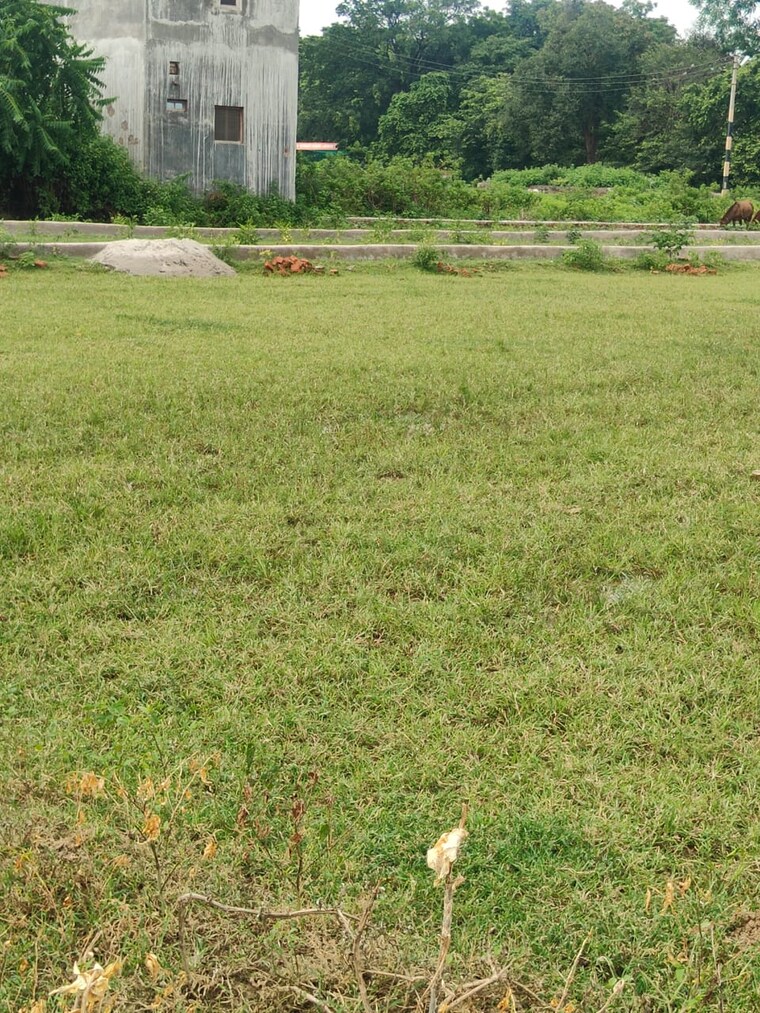 undefined, chinhat  271600 Sq.Ft. Plot In Chinhat Lucknow 9357255