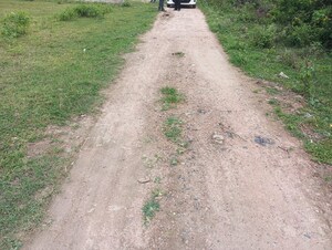 Plot Area in  Plot at Chinhat – for Sale