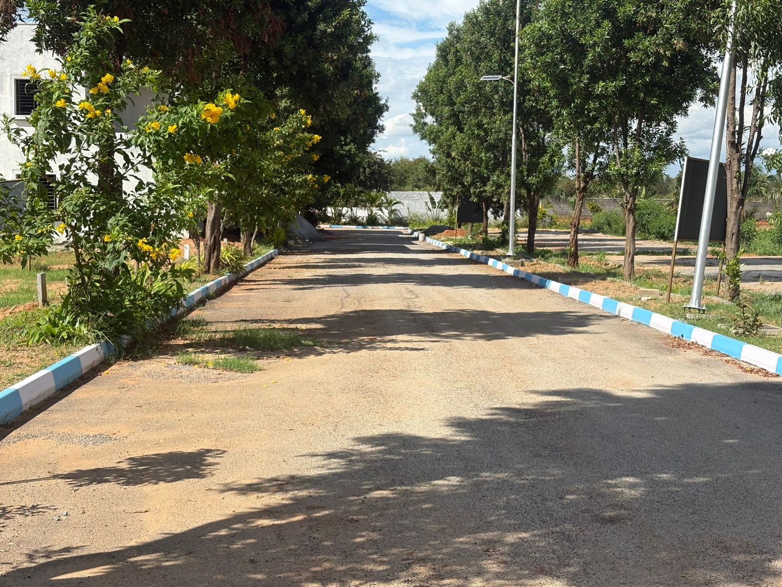 Plot For Sale in Sarjaura Plots Roopa