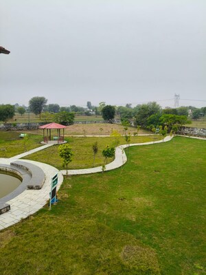 Plot Area in  Plot at Riyasat Town, Shivdaspura – for Sale