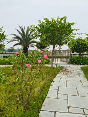  Plot – Garden View at Riyasat Town, Shivdaspura - for Sale