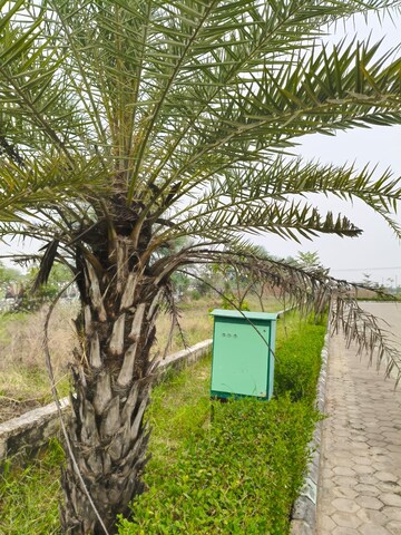 Plot – Exterior View View at Riyasat Town, Shivdaspura - for Sale