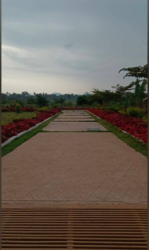  Plot – Exterior View View at Chikkaballapur - for Sale