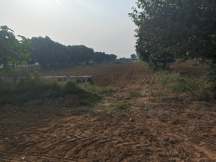 undefined, sohna Commercial Land 1210 Sq.Yd. In Sohna Gurgaon 9357660