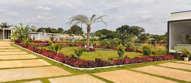 Garden, chikkaballapur  6000 Sq.Yd. Plot In Chikkaballapur Bangalore 9357652