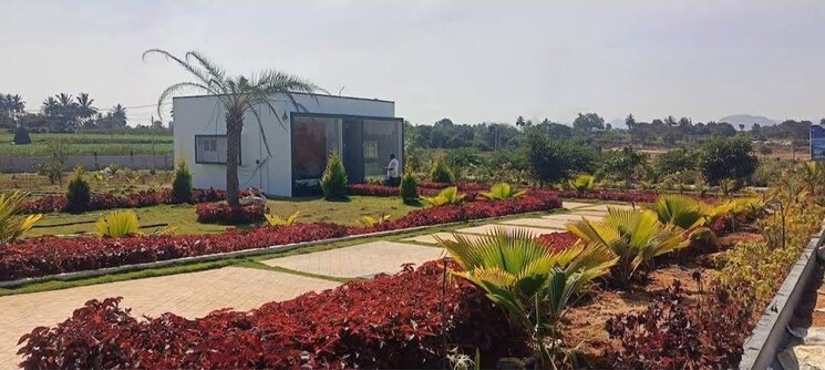 Exterior View, chikkaballapur  9000 Sq.Yd. Plot In Chikkaballapur Bangalore 9357690