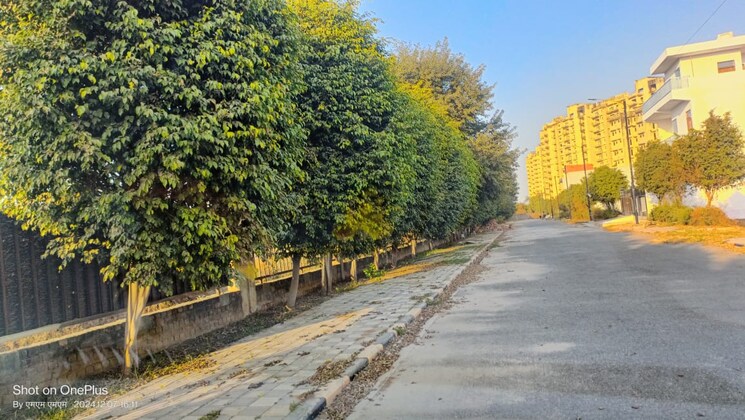 Exterior View, sector 24  150 Sq.Yd. Plot In Sector 24 Dharuhera 9357723