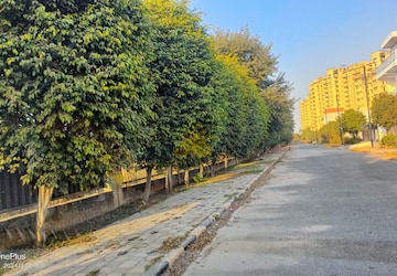 Plot – Exterior View View at Sector 24 - for Sale