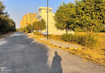 Plot Area in  Plot at Sector 24 – for Sale