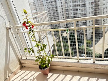 Balcony in 2 BHK Apartment at Jagatpur – for Rent