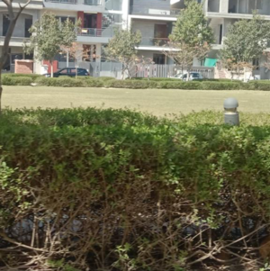 Plot Area in  Plot at Sector 66 B – for Sale