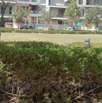 Plot Area in  Plot at Sector 66 B – for Sale