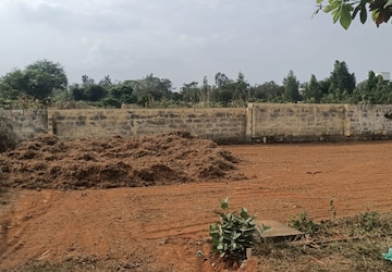 Plot Area in  Plot at Bharat Nagar – for Sale