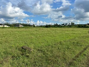 Plot Area in  Plot at Ranipokhari – for Sale