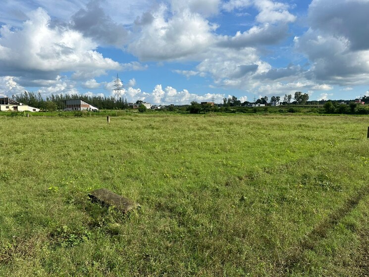 undefined, ranipokhari  2200 Sq.Yd. Plot In Ranipokhari Dehradun 9358405