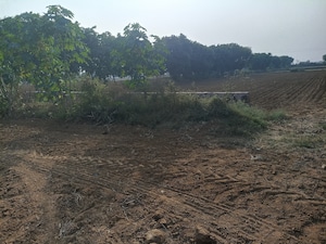 Plot Area in  Land at Sohna – for Sale