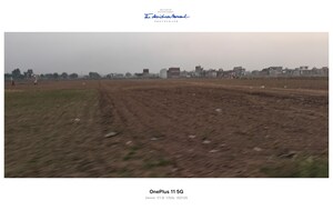 Plot Area in  Plot at Sikri – for Sale