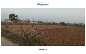 Plot Area in  Plot at Sikri – for Sale