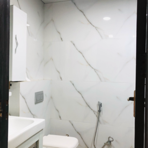 Bathroom in 2.5 BHK Villa at Sector 23 – for Rent